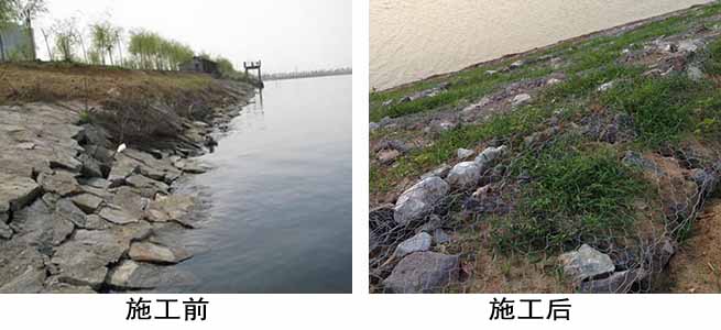 格賓網生態(tài)護岸 格賓網生態(tài)護岸