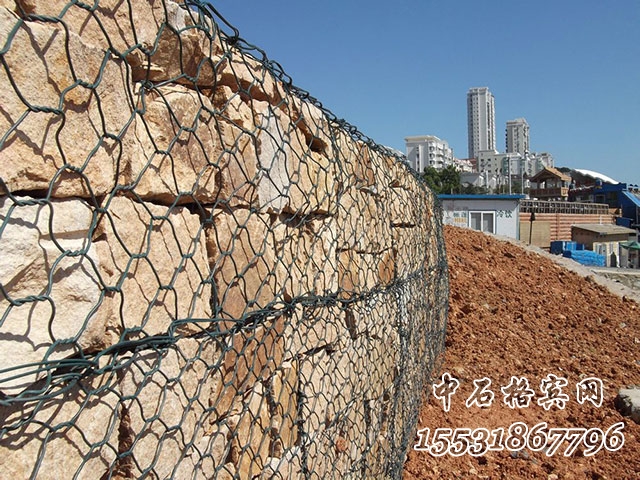 生態格網 生態格網