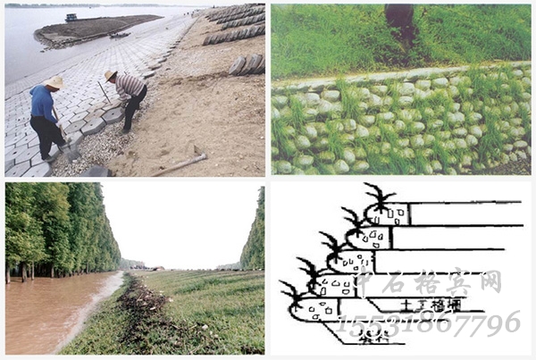 ct266_2.jpg ct266_2.jpg