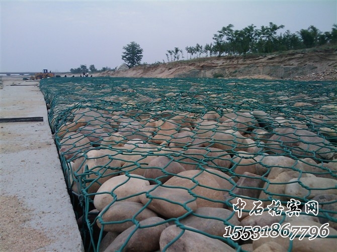 雷諾護墊 雷諾護墊