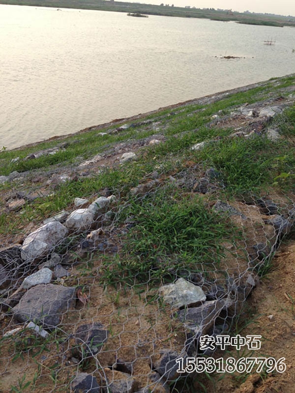 護岸賓格網(wǎng) 護岸賓格網(wǎng)
